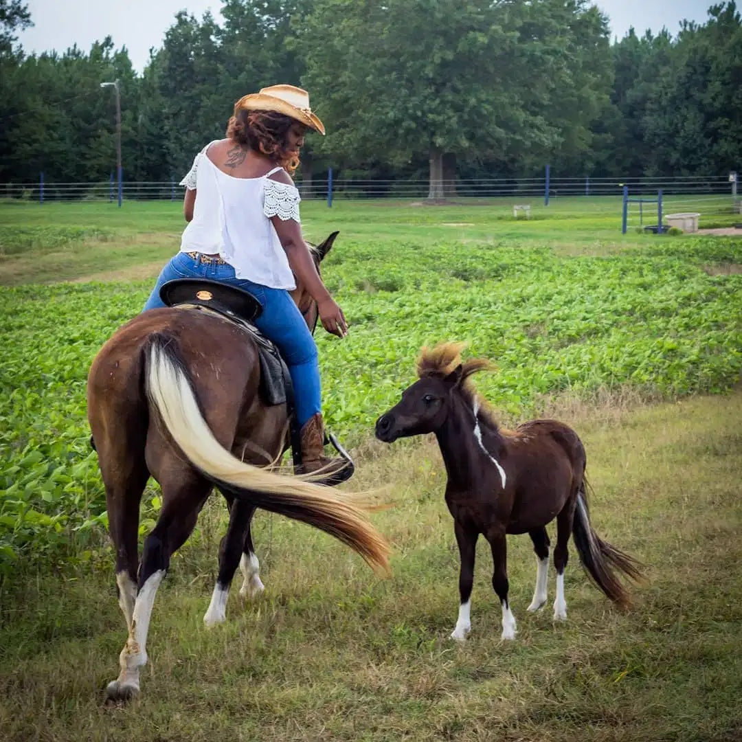 Cowgirl Camryn and the Crazy Hair Day by Abriana Johnson