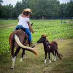 Load image into Gallery viewer, Cowgirl Camryn and the Crazy Hair Day by Abriana Johnson
