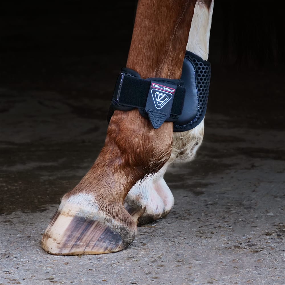 Tri-zone Fetlock Boots by Equilibrium