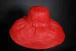 Load image into Gallery viewer, Raffia Hats: Plain Wide Brim Hats
