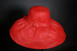 Raffia Hats: Plain Wide Brim Hats