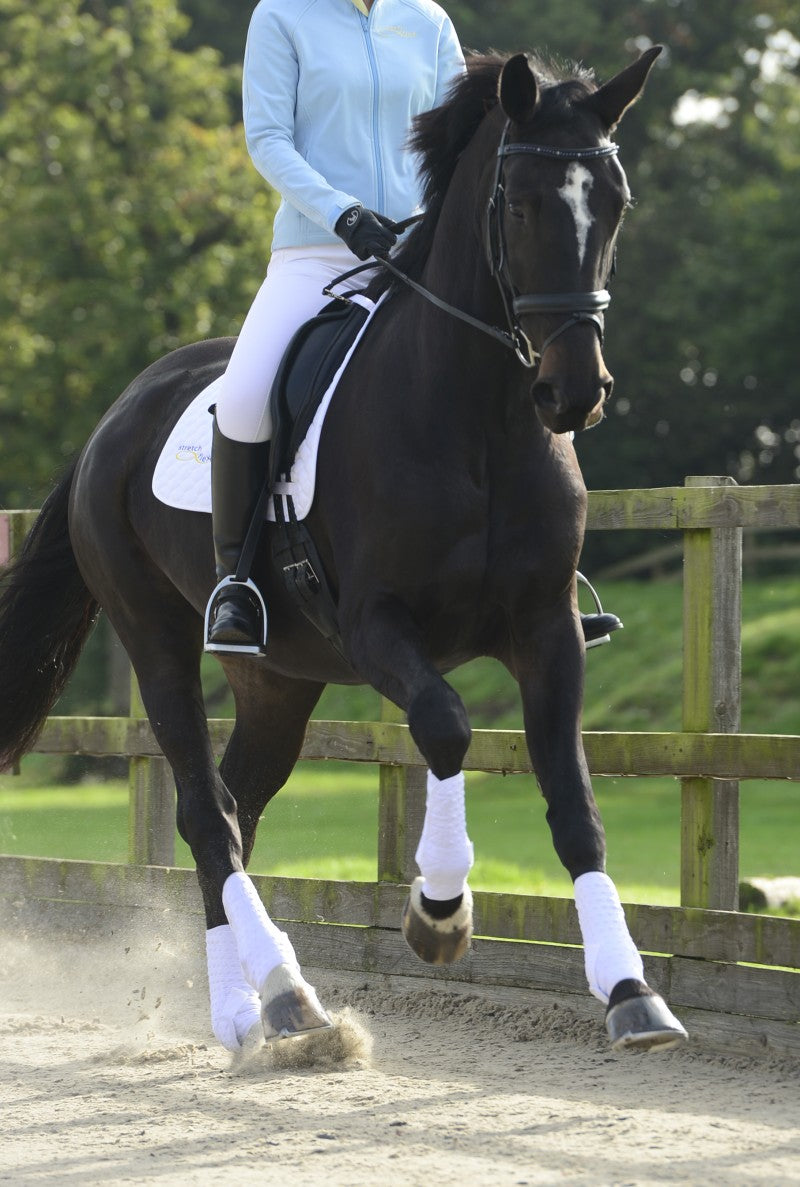 Stretch and Flex Training Wraps by Equilibrium