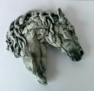 Ann Clifford - "Elvaro"