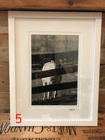 Load image into Gallery viewer, The Willow Series: Equine Photographs
