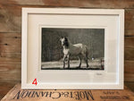 Load image into Gallery viewer, The Willow Series: Equine Photographs
