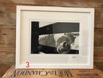 Load image into Gallery viewer, The Willow Series: Equine Photographs
