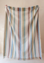 Load image into Gallery viewer, Recycled Wool Waterproof Picnic Blanket in Assorted Colours and Tartans
