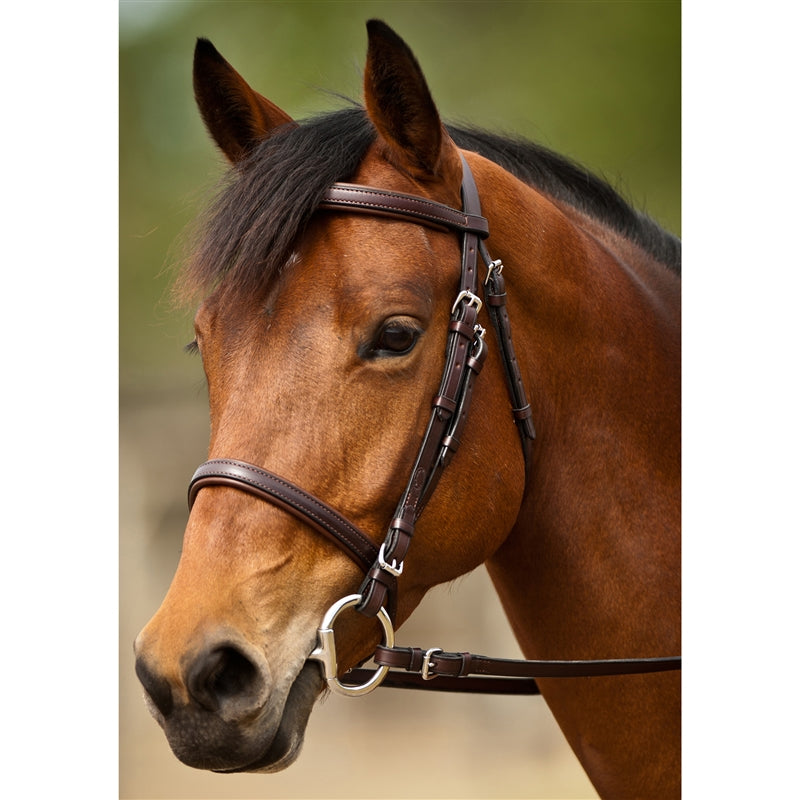 Event Bridle by Nunn Finer