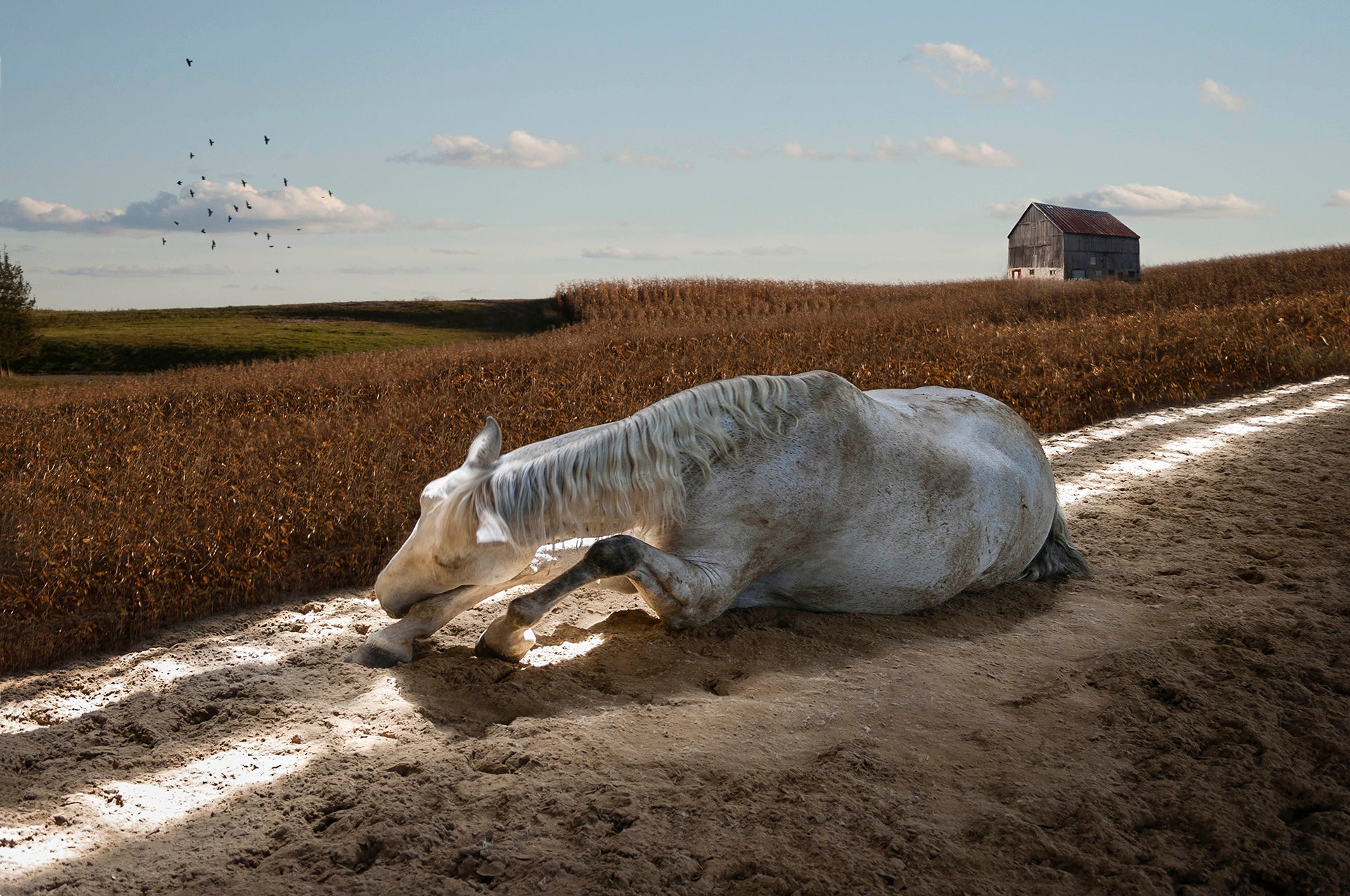 Ellen Cameron - "Now I lay me Down" Art