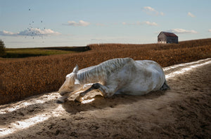 Ellen Cameron - "Now I lay me Down" Art