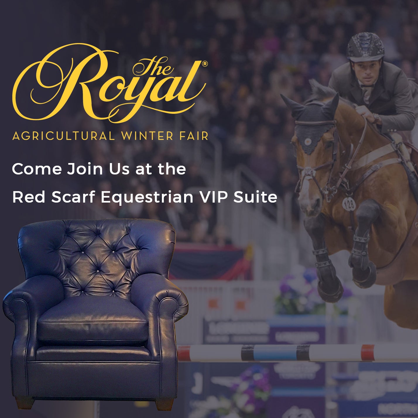 Royal Winter Fair Horse Show Big Ben International Challenge Canadian Open Speed Challenge