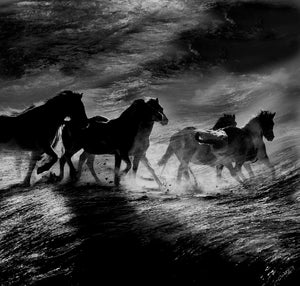Ellen Cameron - "Rip Tide" Art