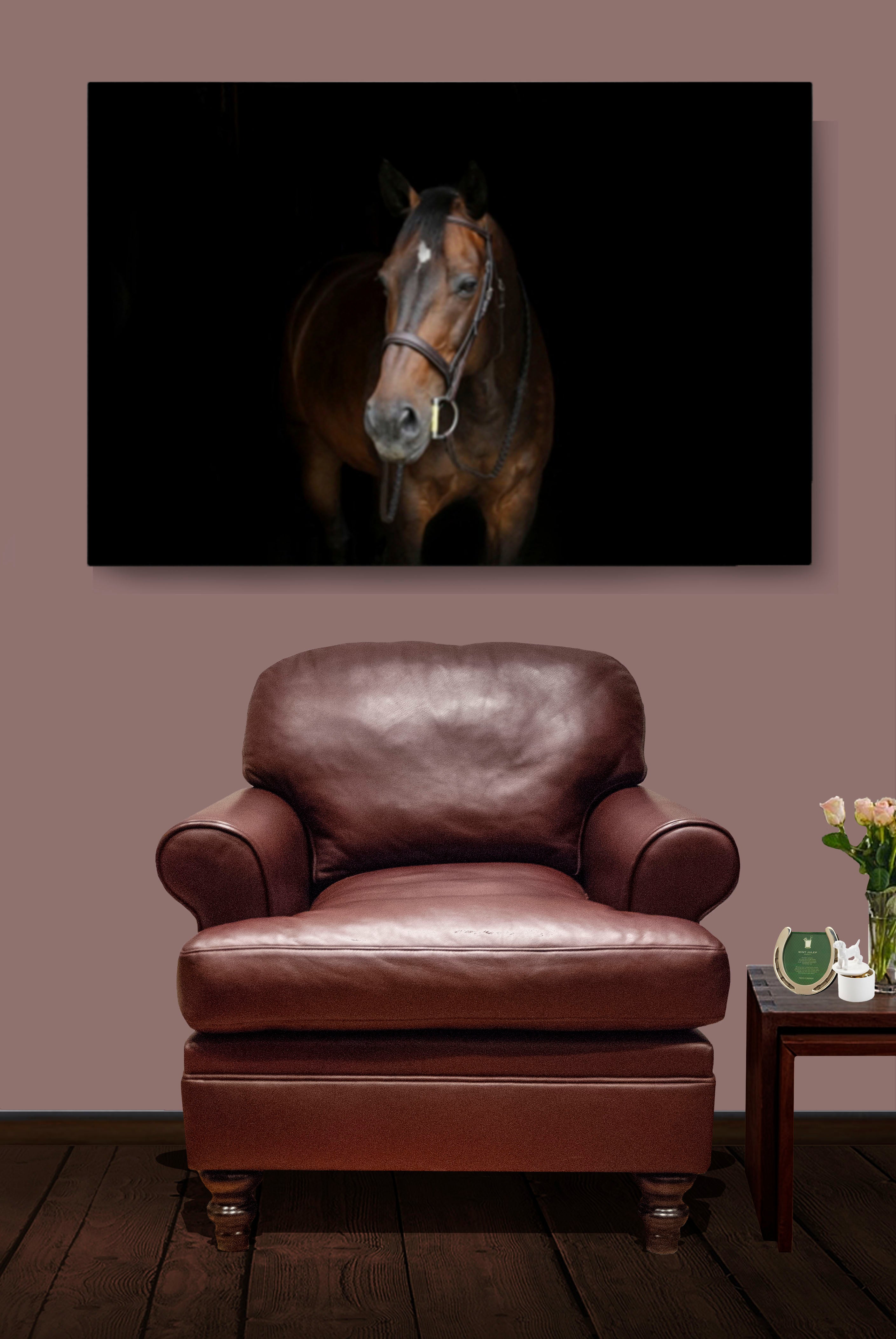 The Andalusian: Leather Chair