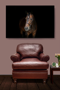 The Andalusian: Leather Chair