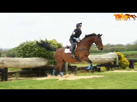 Tri-Zone Impact Sports Boots by Equilibrium (Hind)