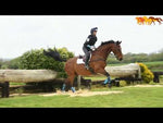 Load and play video in Gallery viewer, Tri-Zone Impact Sports Boots by Equilibrium (Hind)
