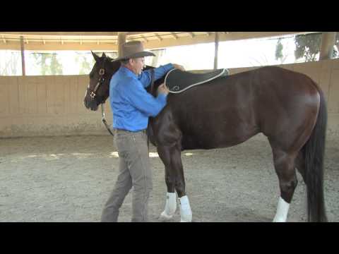 Saddle Pad Hala by Cavallo