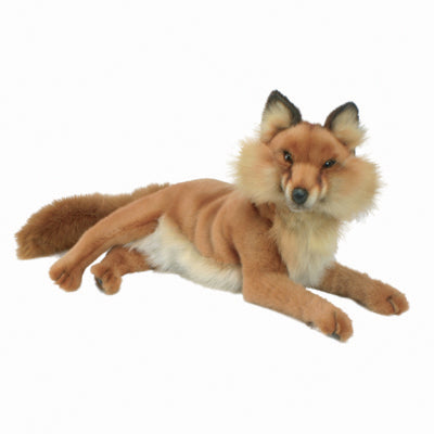 Lying Fox