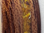 Load image into Gallery viewer, Flower Inlay Wooden Ring (Calendula)
