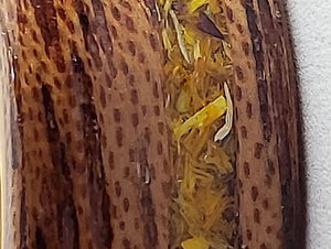 Flower Inlay Wooden Ring (Calendula)
